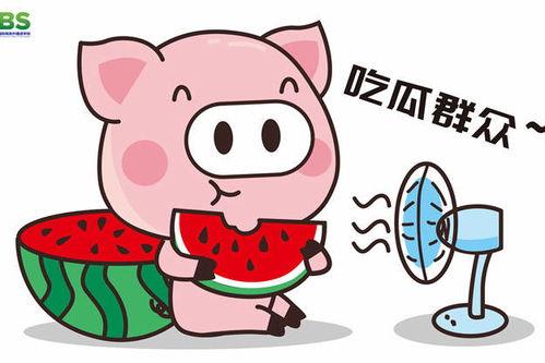 八卦吃瓜动漫视频大全免费观看,免费观看视频大全攻略